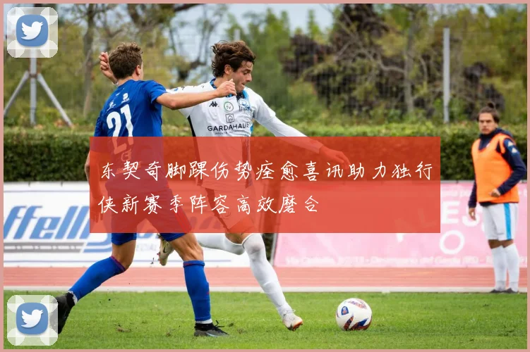 东契奇脚踝伤势痊愈喜讯助力独行侠新赛季阵容高效磨合