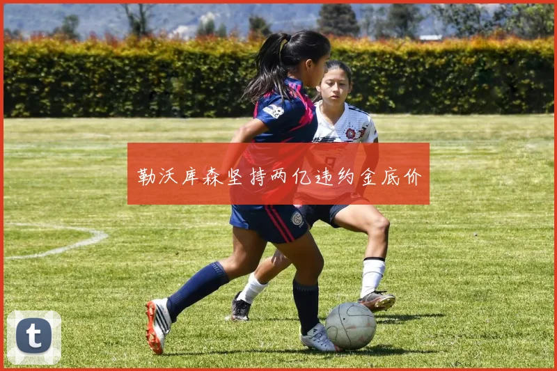 勒沃库森坚持两亿违约金底价