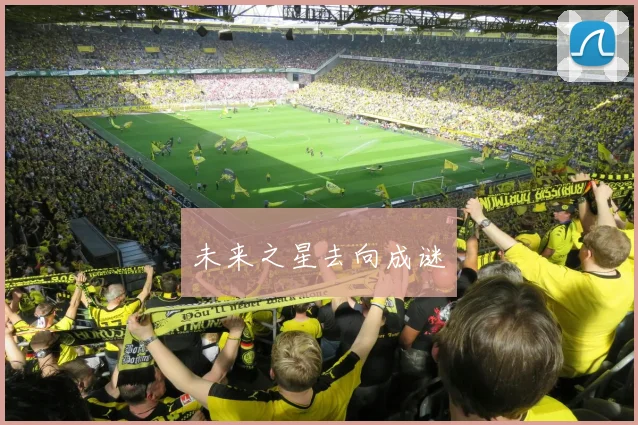 未来之星去向成谜