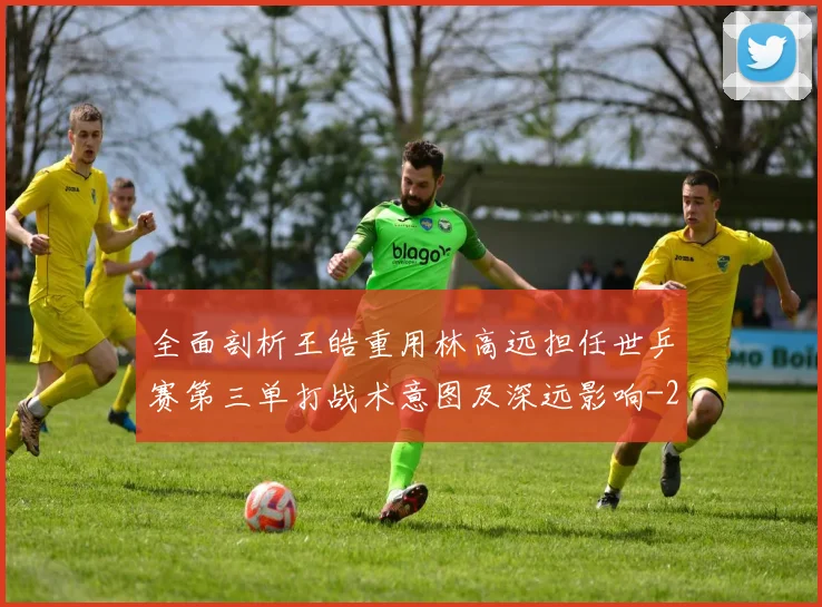 全面剖析王皓重用林高远担任世乒赛第三单打战术意图及深远影响